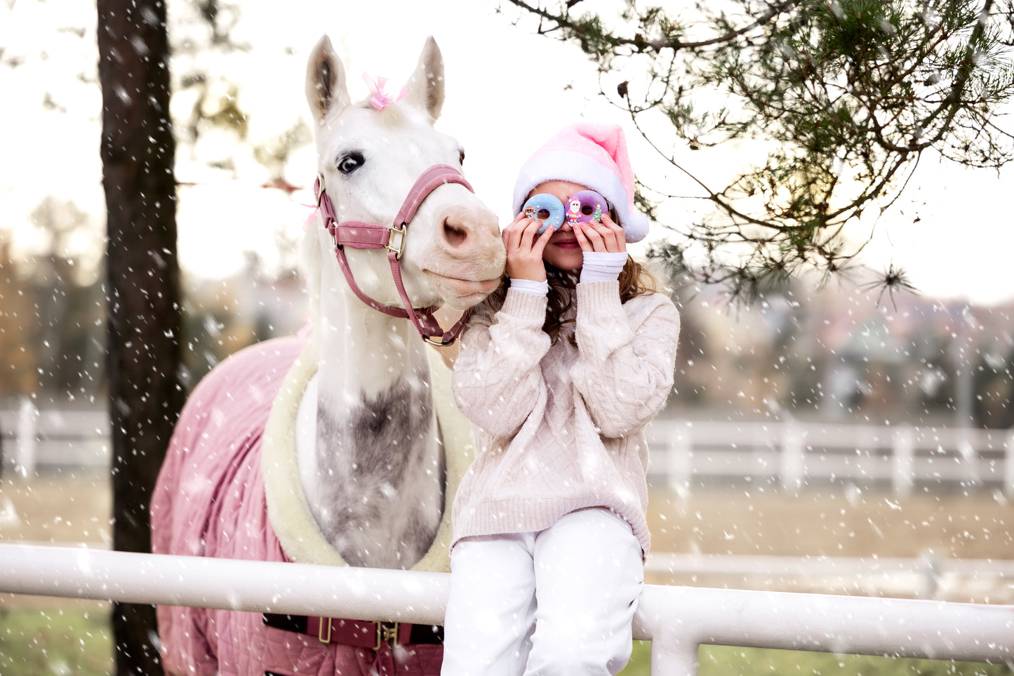 Candy Horse - Christmas Limited Collection - Versierde donuts 2st.