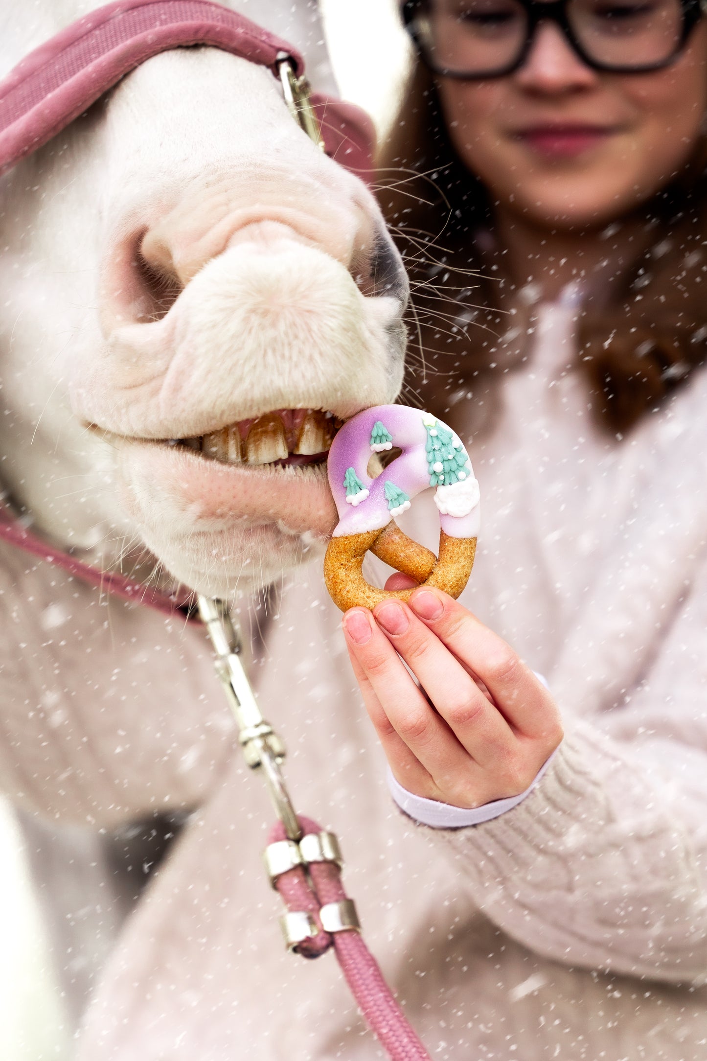 Candy Horse - Christmas Limited Collection - Versierde Pretzels