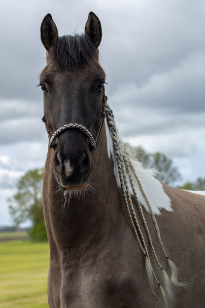 Rope halter braided noseband brown, white and beige