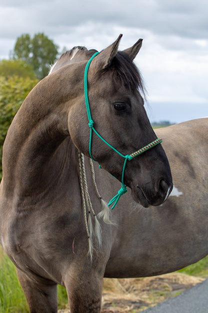 Rope Halter Vienna Noseband Emerald Green, Beige, Brown, and Caramel