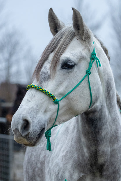 Rope halter with braided noseband emerald green, yellow and dark green