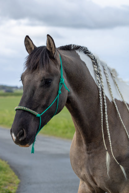 Rope Halter Vienna Noseband Emerald Green, Beige, Brown, and Caramel