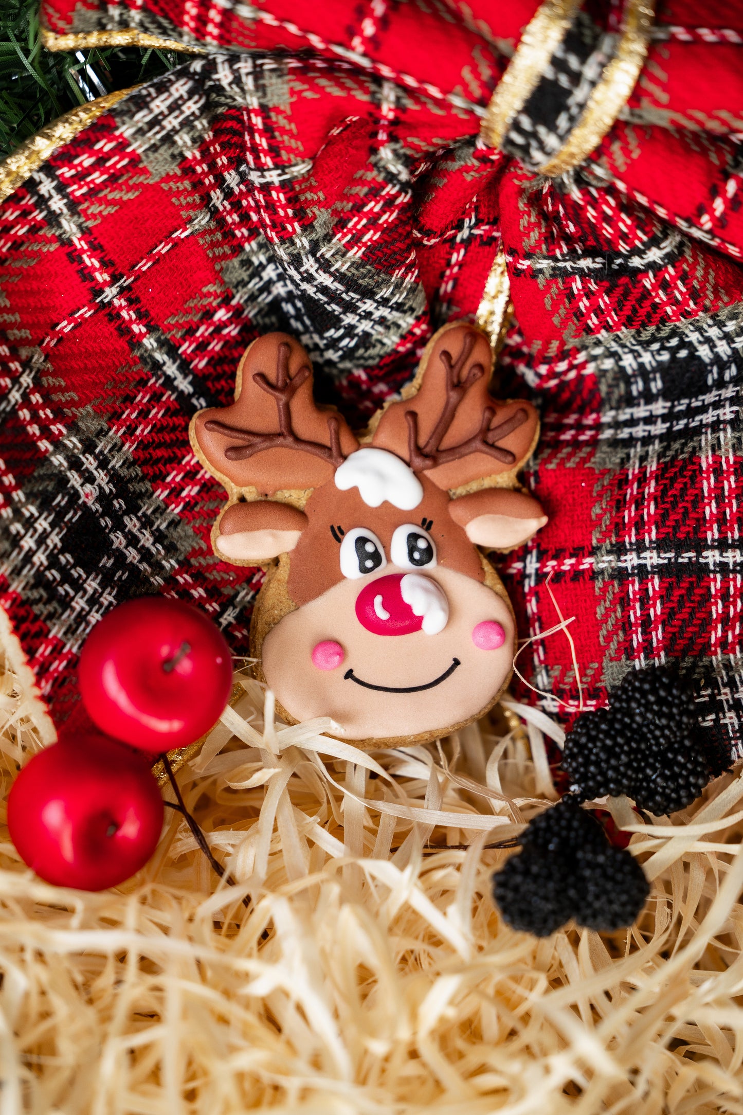 Candy Horse - Christmas Limited Collection - Los koekje