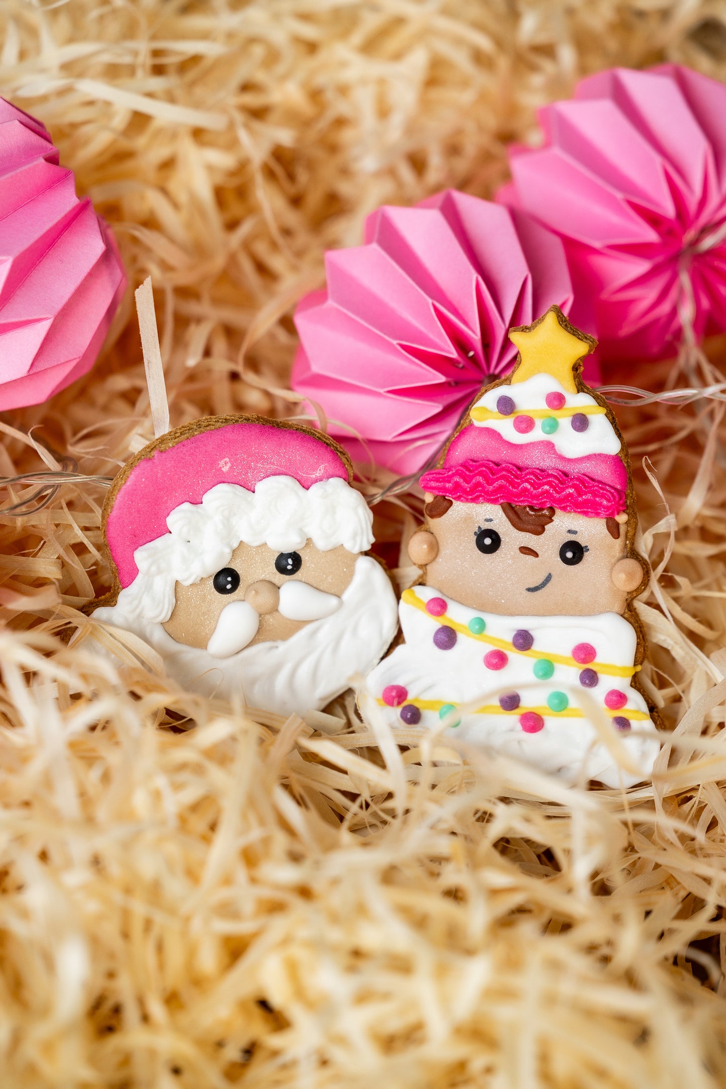 Candy Horse - Christmas Limited Collection - Los koekje