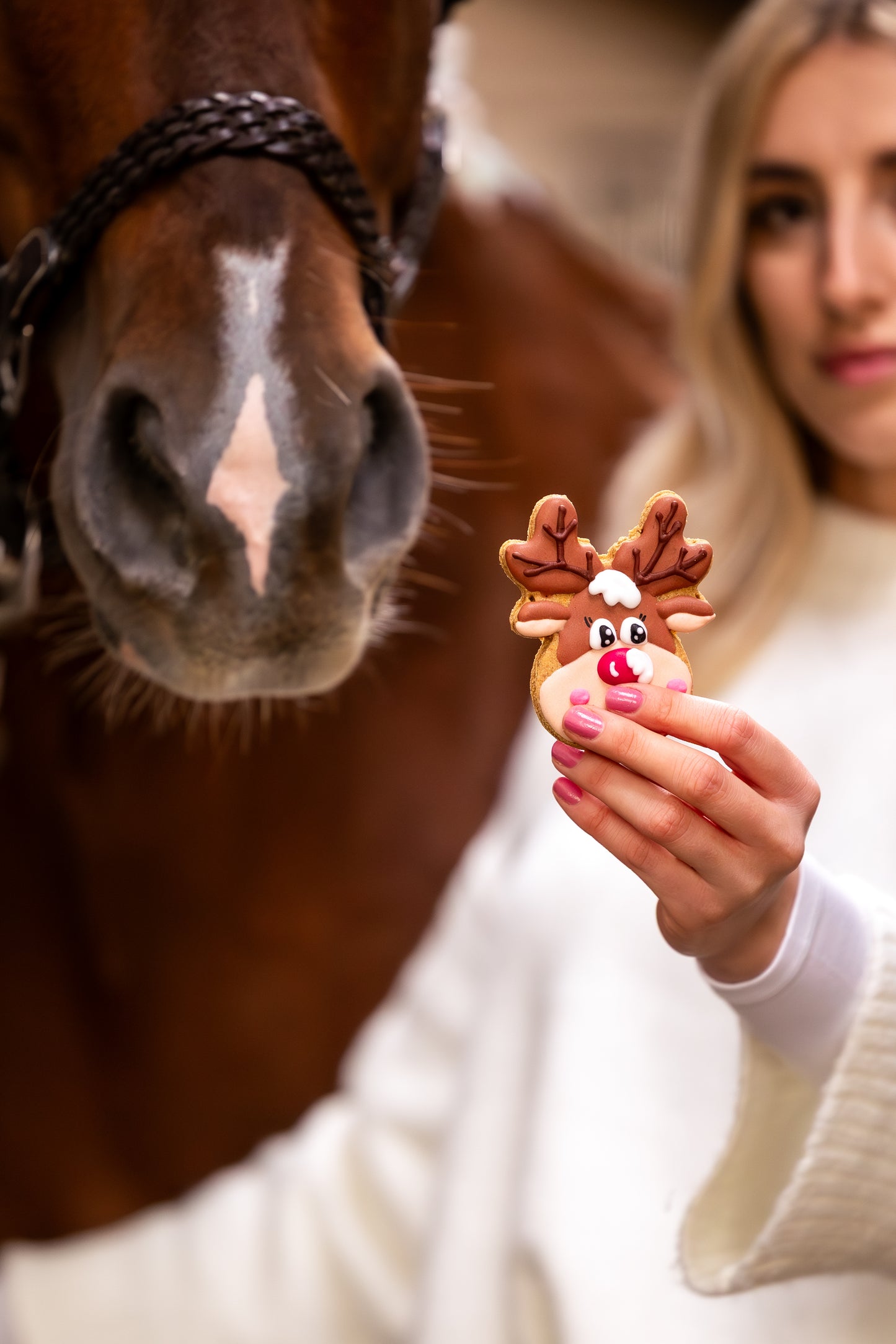 Candy Horse - Christmas Limited Collection - Los koekje