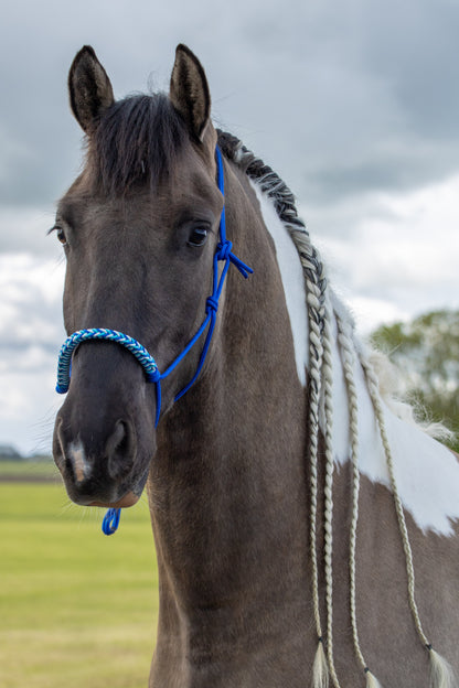 Rope halter with braided noseband cobalt, white and turquoise