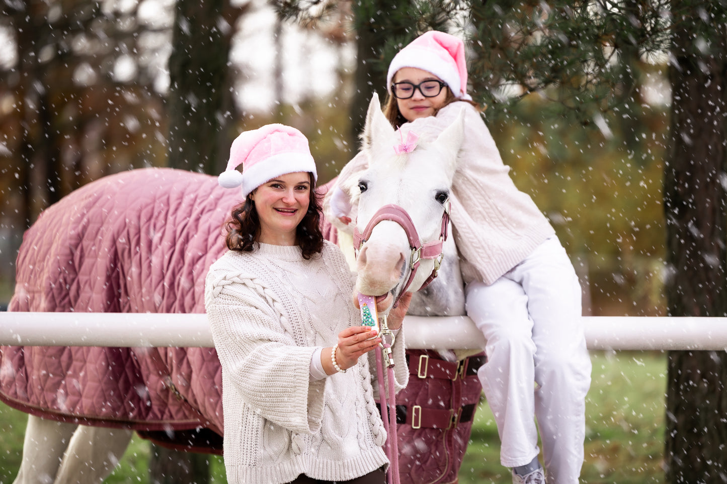 Candy Horse - Christmas Limited Collection - Winter Eclair