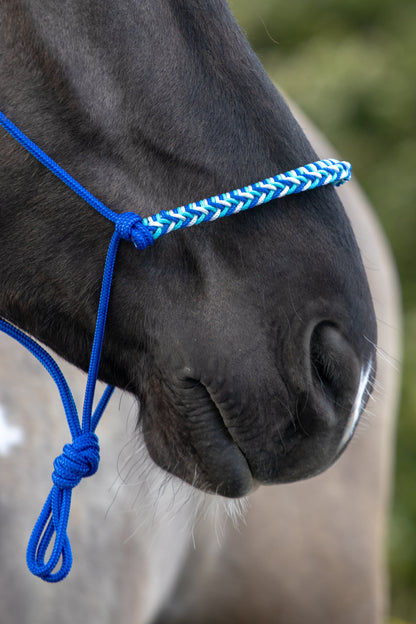 Rope halter with braided noseband cobalt, white and turquoise