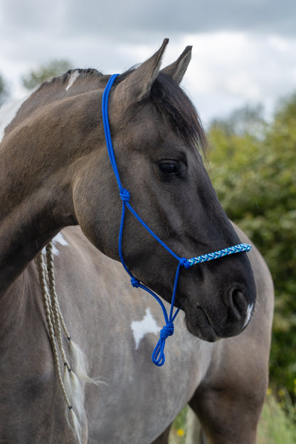 Rope halter with braided noseband cobalt, white and turquoise