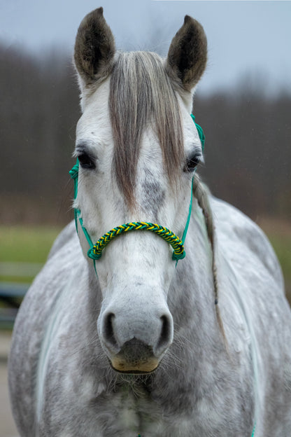 Rope halter with braided noseband emerald green, yellow and dark green