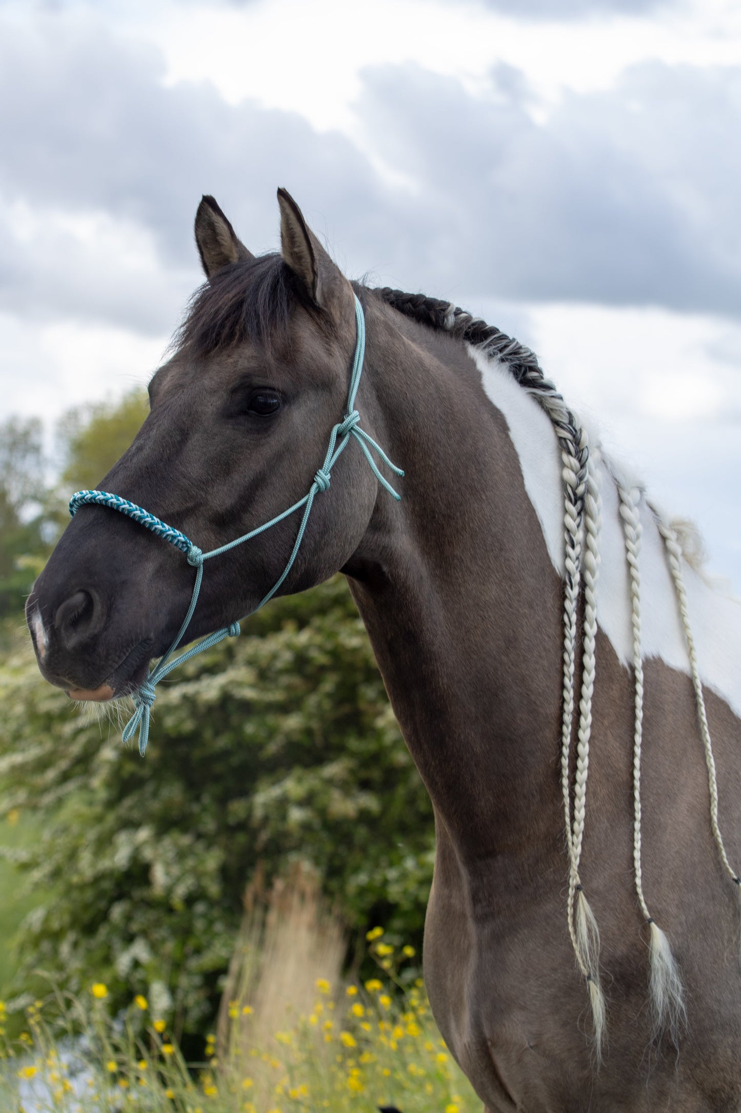 Rope halter with braided noseband sea green, baby blue and aqua