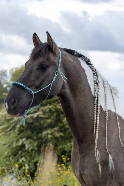 Rope halter with braided noseband sea green, baby blue and aqua