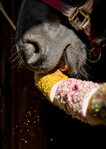 Herbi Horse - Holzspieltau "Stable Party"