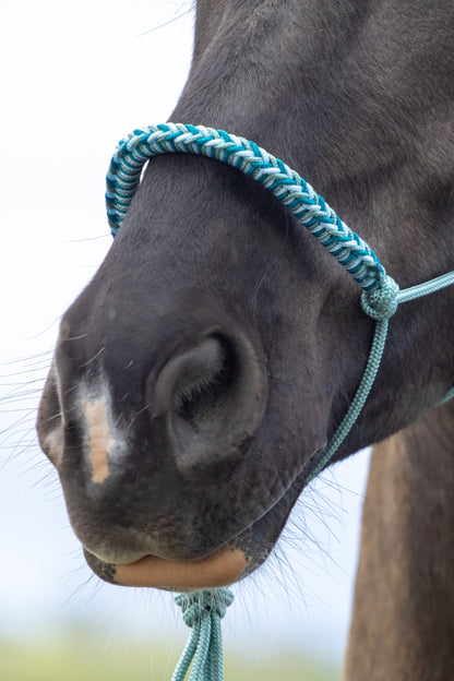 Rope halter with braided noseband sea green, baby blue and aqua