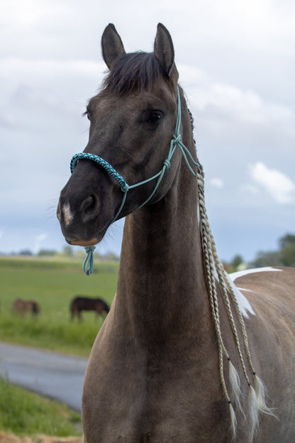 Rope halter with braided noseband sea green, baby blue and aqua
