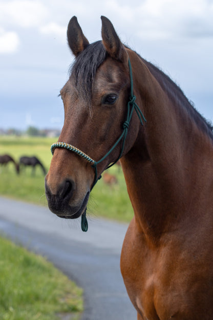 Rope Halter Vienna Noseband Dark Green, Sea Green, Beige, and Caramel