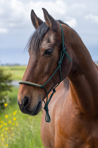 Rope Halter Vienna Noseband Dark Green, Sea Green, Beige, and Caramel