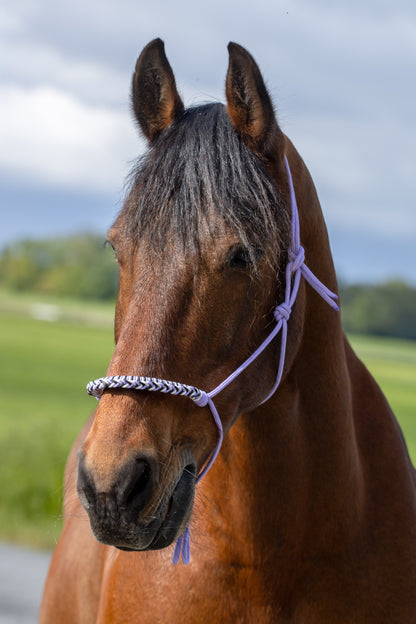 Rope halter with braided noseband lilac, white and black