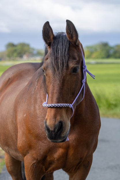 Rope halter with braided noseband lilac, white and black