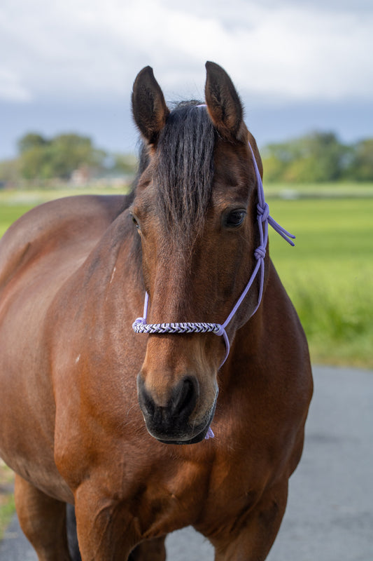 Rope halter with braided noseband lilac, white and black