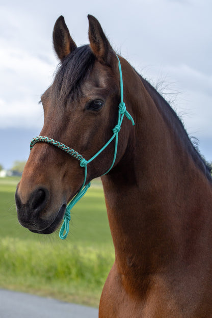 Rope halter with braided noseband mint green, beige and brown