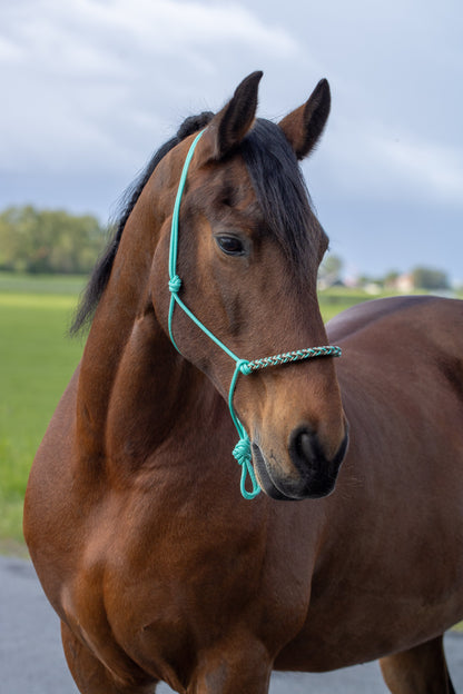 Rope halter with braided noseband mint green, beige and brown