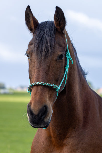 Rope halter with braided noseband mint green, beige and brown