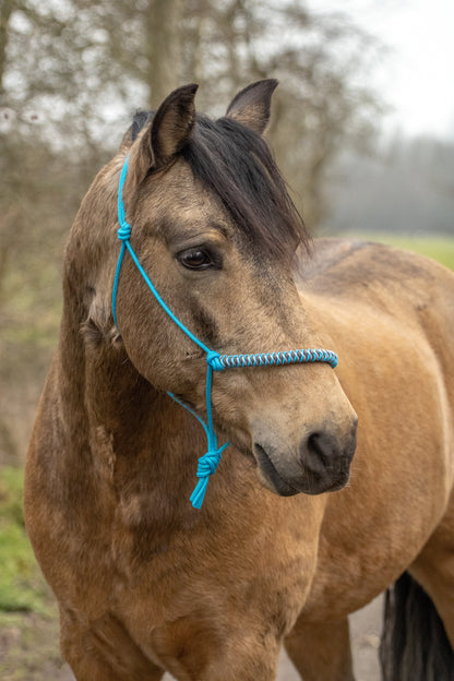 Rope Halter Vienna Noseband Ocean Blue, Copper, Baby Blue, and Brown