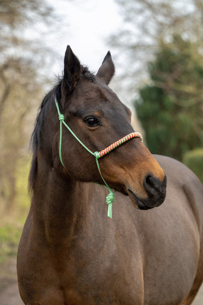 Rope Halter Vienna Noseband Pastel Mint, Apple Green, Red, and Baby Pink