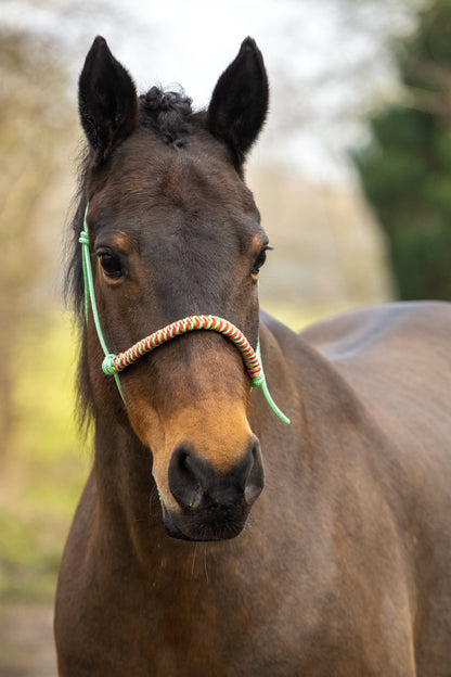 Rope Halter Vienna Noseband Pastel Mint, Apple Green, Red, and Baby Pink