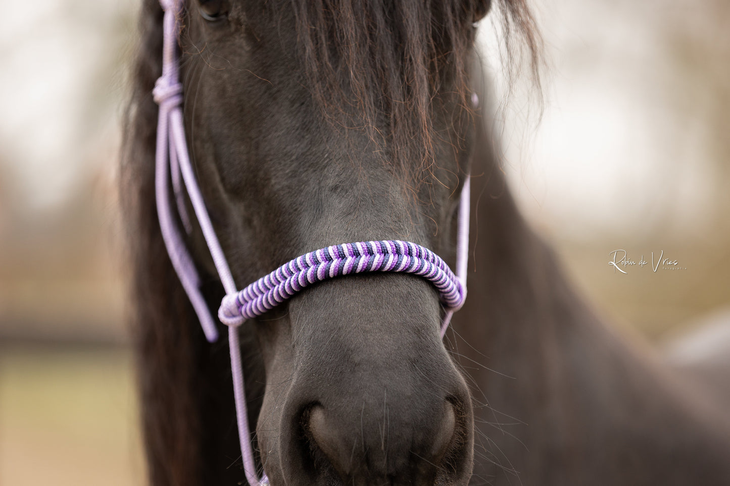 Myrthe's Horse Passion - Fishtail Rope Halter 2025-2026