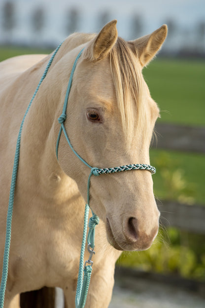 Rope halter with braided noseband sea green, cream and dark green