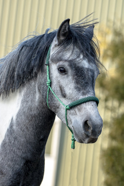 Rope halter green mix with dark green