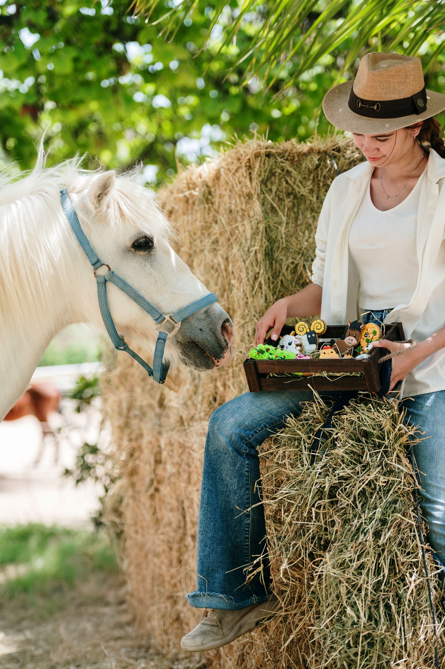 OP=OP - Candy Horse - The Farm Limited Collection - Los koekje