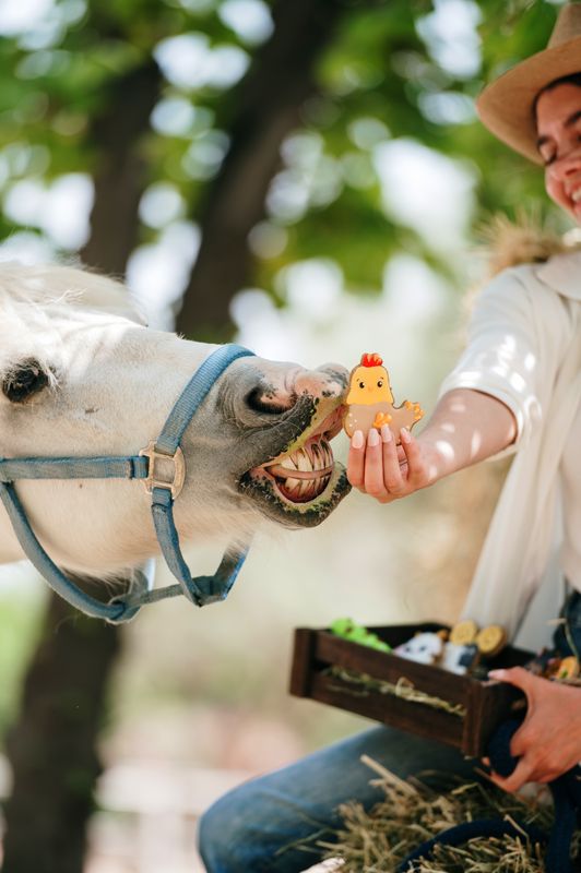 OP=OP - Candy Horse - The Farm Limited Collection - Los koekje