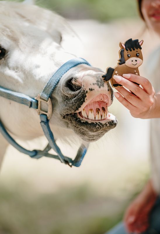 OP=OP - Candy Horse - The Farm Limited Collection - Los koekje