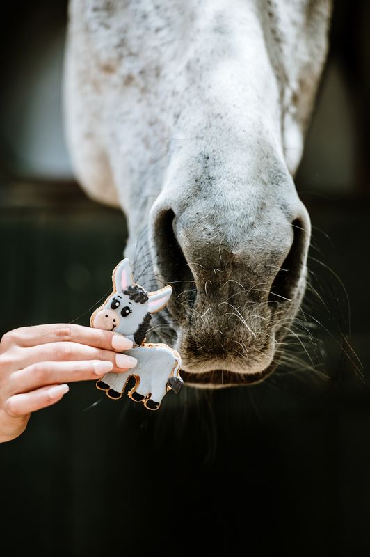 OP=OP - Candy Horse - The Farm Limited Collection - Los koekje