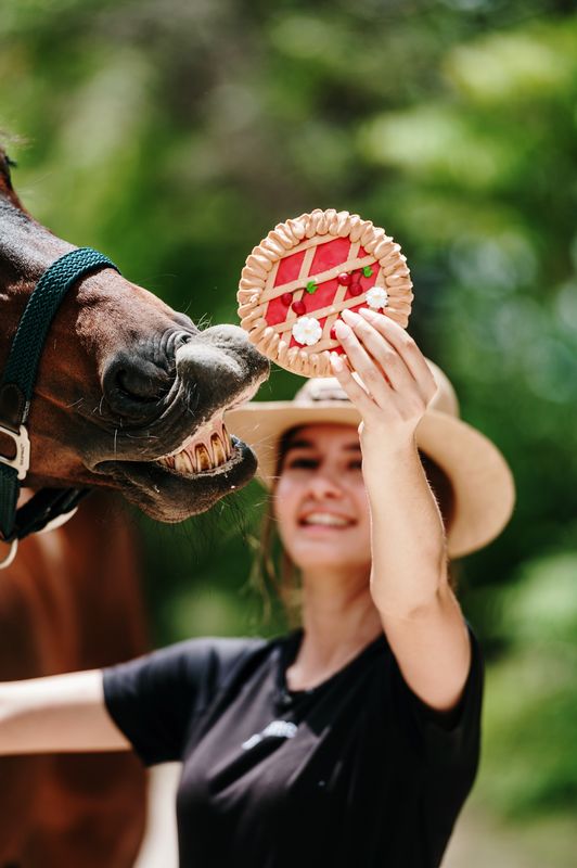 OP=OP - Candy Horse - The Farm Limited Collection - Kersentaart