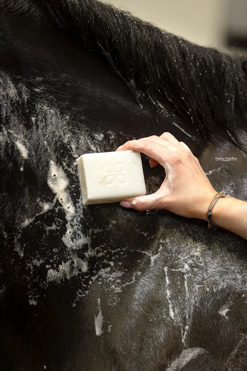 CleanYourHorse - Nano zilver Soap Bar