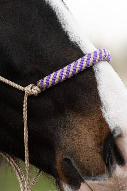 Rope Halter Set Purple Rain