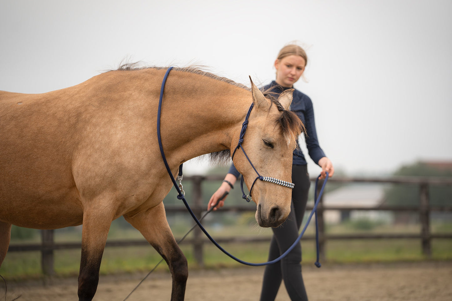 Myrthe's Paardenpassie - Linea Liberty 2-1