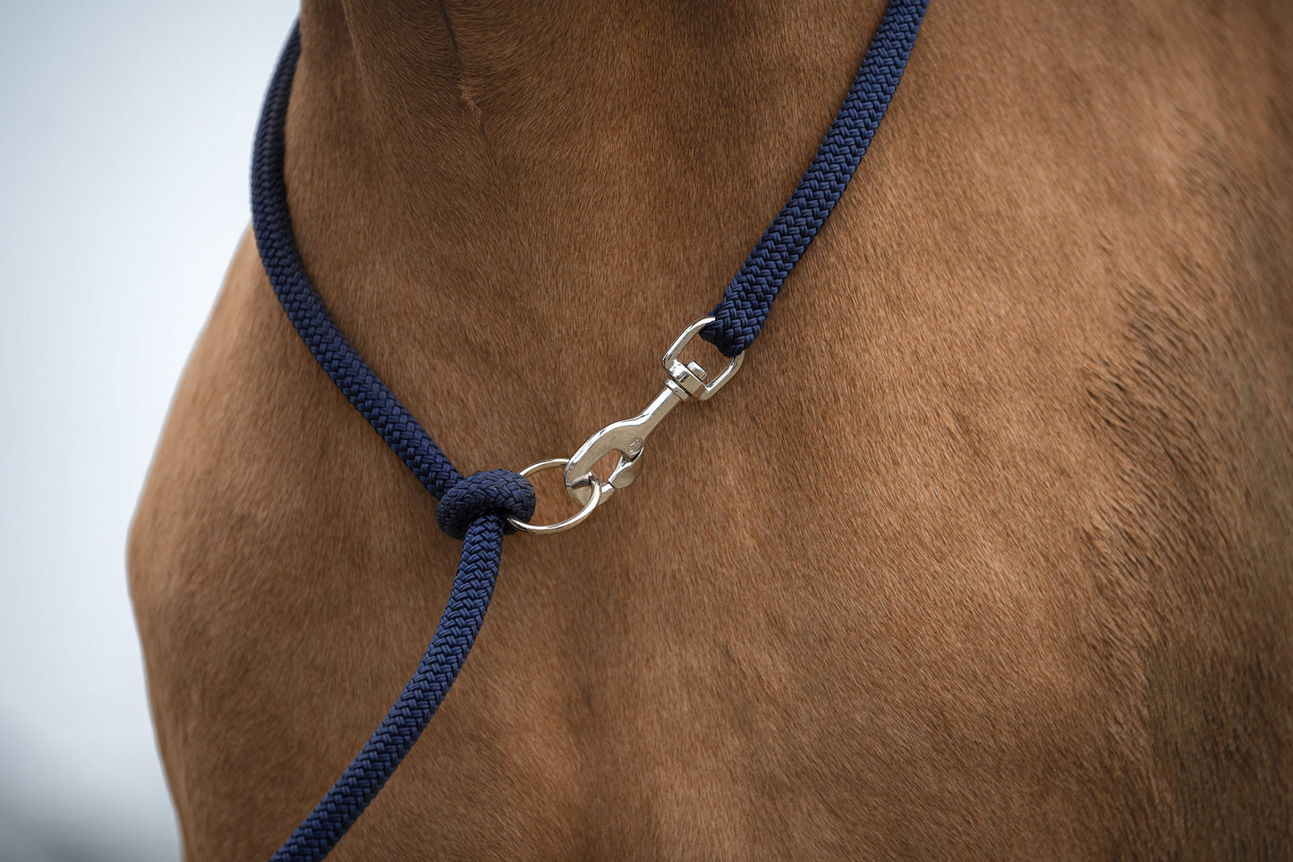 Myrthe's Paardenpassie - Linea Liberty 2-1