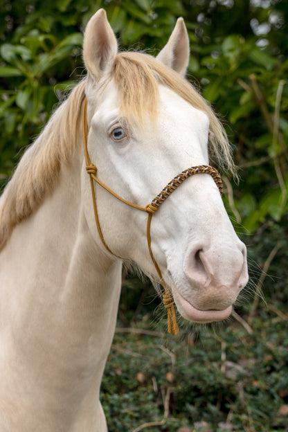 Rope halter with braided noseband caramel, brown and beige