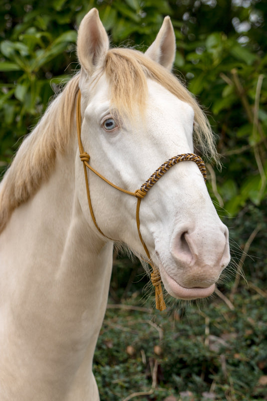 Rope halter with braided noseband caramel, brown and beige