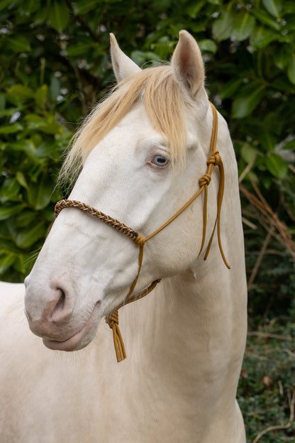 Rope halter with braided noseband caramel, brown and beige
