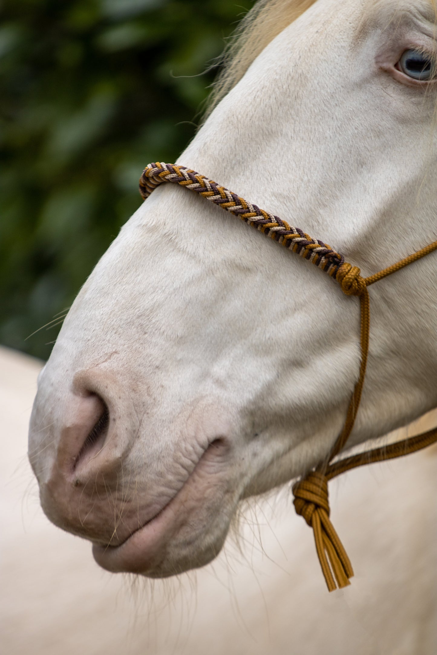 Rope halter with braided noseband caramel, brown and beige