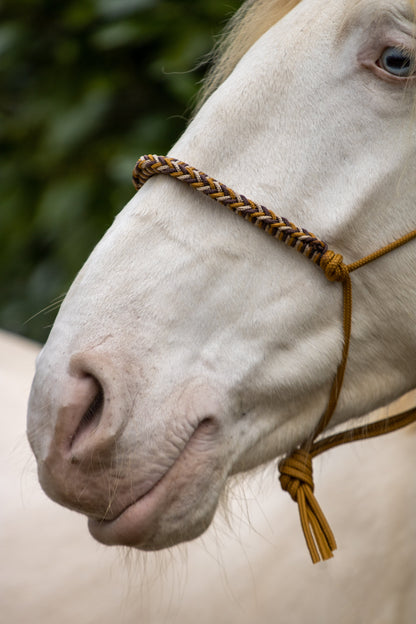 Rope halter with braided noseband caramel, brown and beige