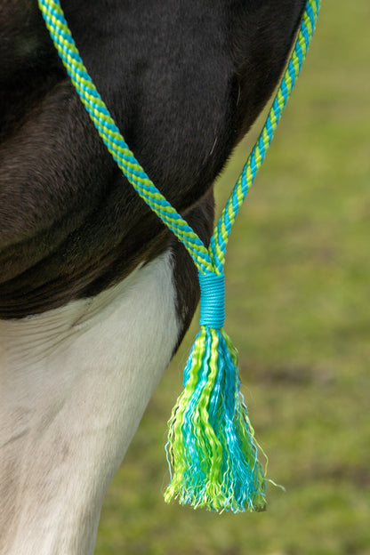 Rope holster set splash