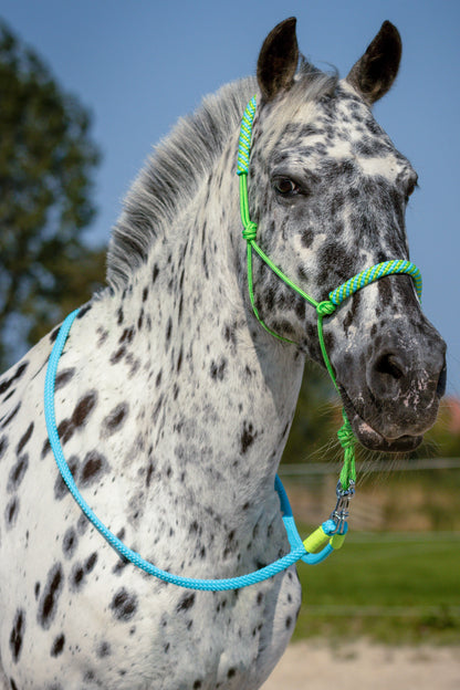 Rope halter set lime-lime/turquoise