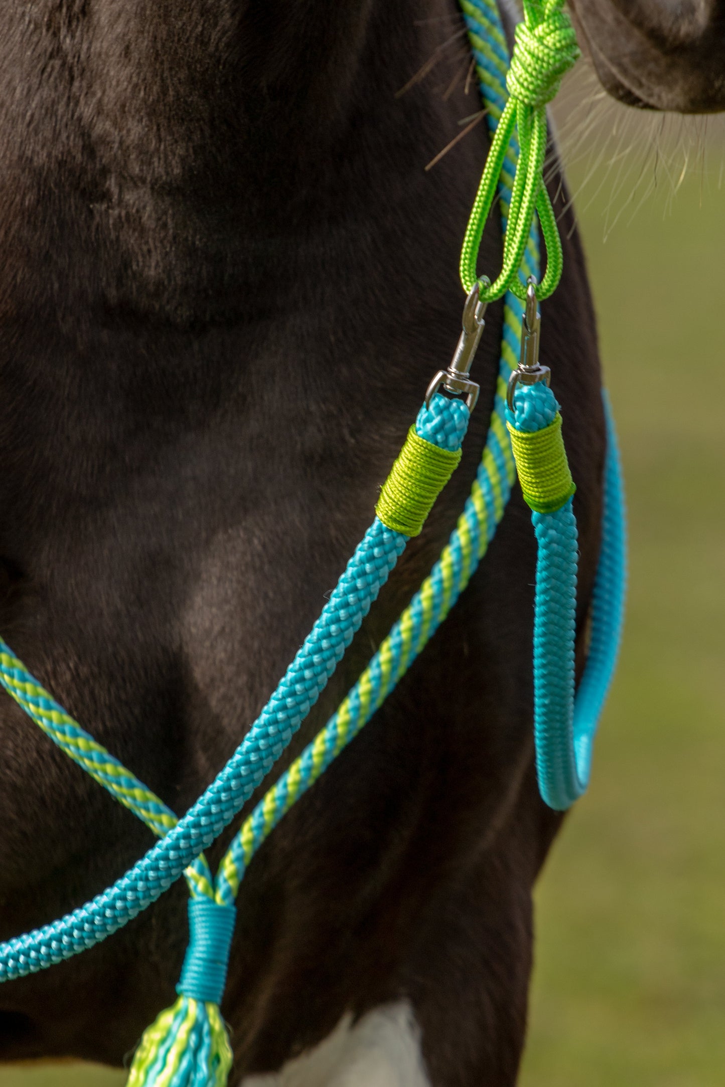 Rope holster set kiwi